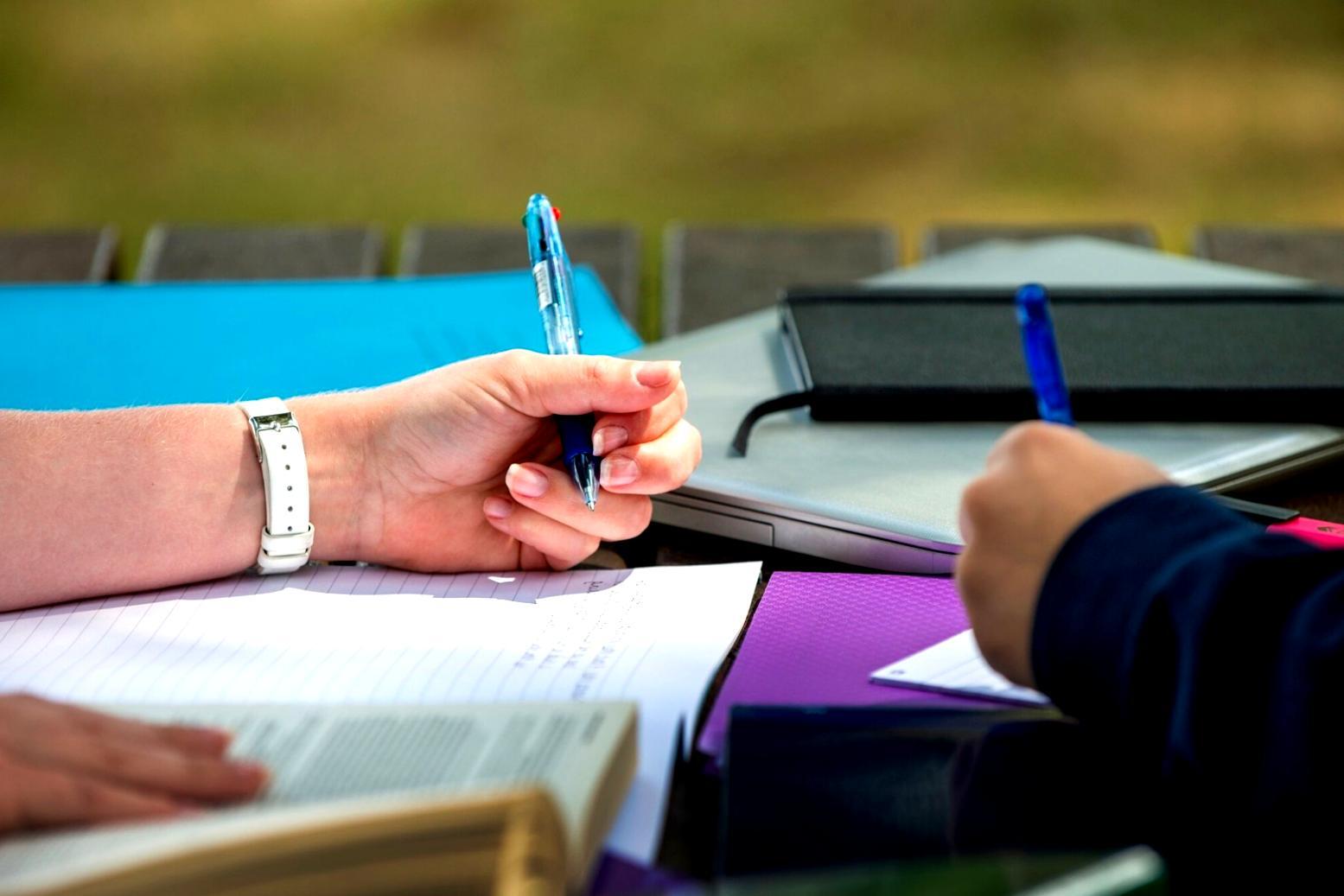 Professional reviewing financial accountability systems and data analysis methods